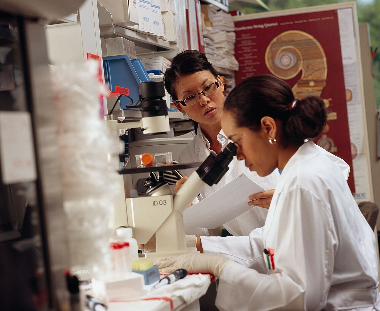A researcher looks through a microscope in a laboratory